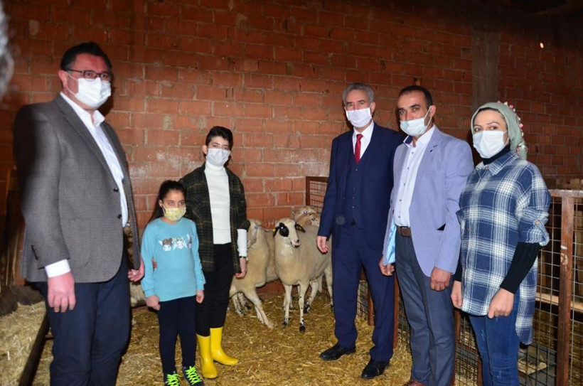 Denizli'de İzzet'in hayvancılık serüveni: Hediye civcivle başladı 221 hayvana ulaştı - Resim: 4