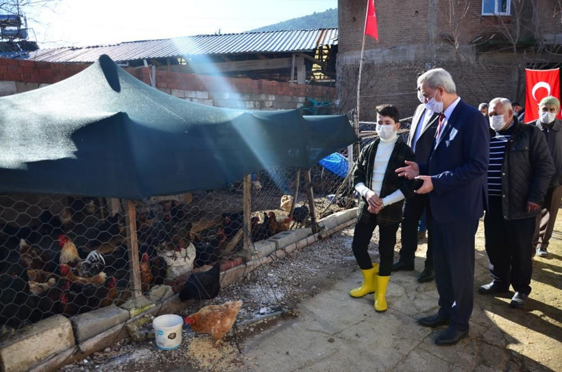 Denizli'de İzzet'in hayvancılık serüveni: Hediye civcivle başladı 221 hayvana ulaştı - Resim: 3
