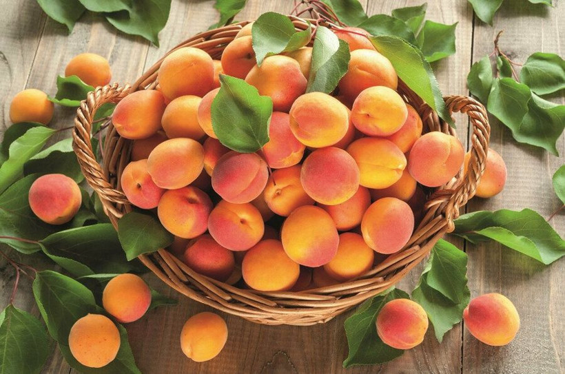 En faydalı yaz meyveleri neler? Bu meyveleri sofranızdan eksik etmeyin! - Resim: 3