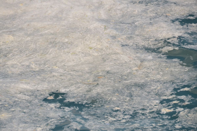 ODTÜ araştırma gemisi Bilim-2 deniz salyalarını takip için Marmara Denizi'nde seyrüseferde - Resim: 3