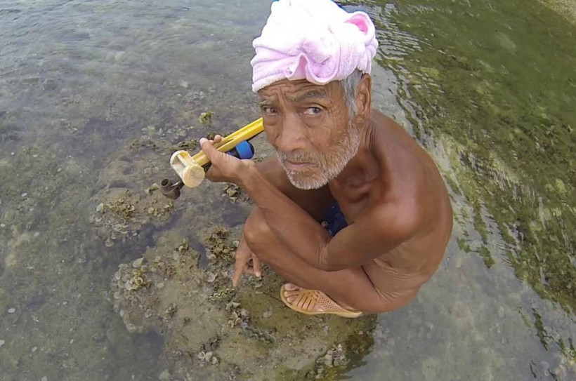 Şehir hayatına alışamadı, ıssız adaya çırılçıplak halde geri döndü! - Resim: 3