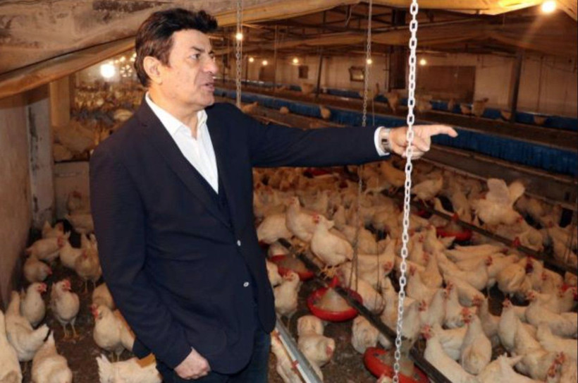 Yumurta fiyatları bir tek ünlü şarkıcıyı sevindirdi! 'Keyfim yerinde mutluyum' - Resim: 1