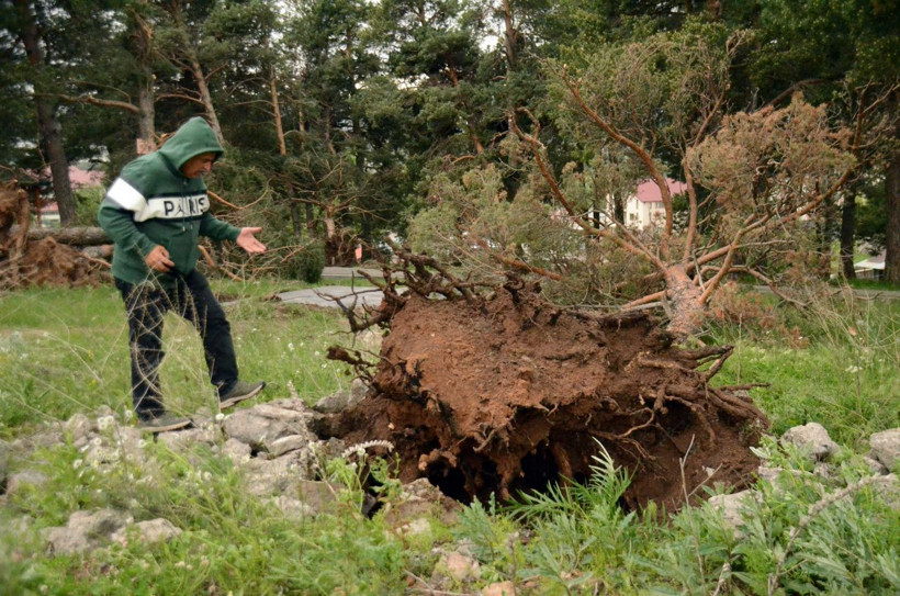 Kars'ta yaşanan hortum felaketi ağaçları kökünden söktü! - Resim: 3
