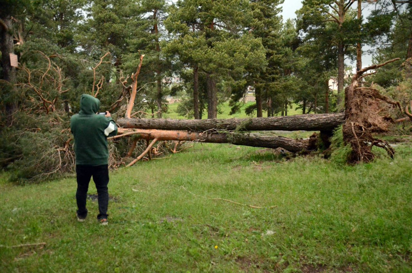Kars'ta yaşanan hortum felaketi ağaçları kökünden söktü! - Resim: 4