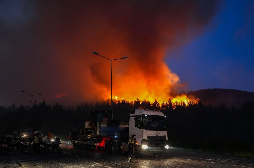İzmir'deki orman yangınları kontrol altına alındı! Acı bilançoyu Bakan Yumaklı açıkladı - Resim: 4