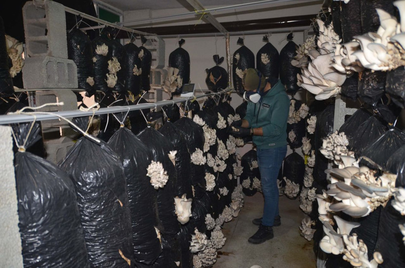 İzlediği videodan etkilenen Hakkarili genç bu işe başladı! Marketlere satış yapıyor: Kazancı şaşırttı - Resim: 1