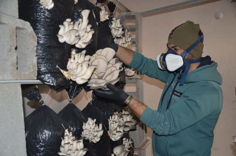 İzlediği videodan etkilenen Hakkarili genç bu işe başladı! Marketlere satış yapıyor: Kazancı şaşırttı - Resim: 2