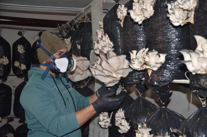 İzlediği videodan etkilenen Hakkarili genç bu işe başladı! Marketlere satış yapıyor: Kazancı şaşırttı - Resim: 3