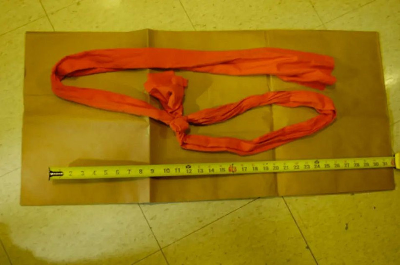 Epstein’ın son gecesinin sırrı: Kilitli hücreye gece kim girdi? - Resim: 4