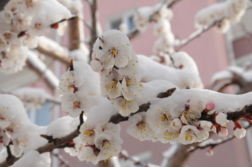 Kış geri geldi! Mart şanına uygun davranınca böyle oldu! - Resim: 1