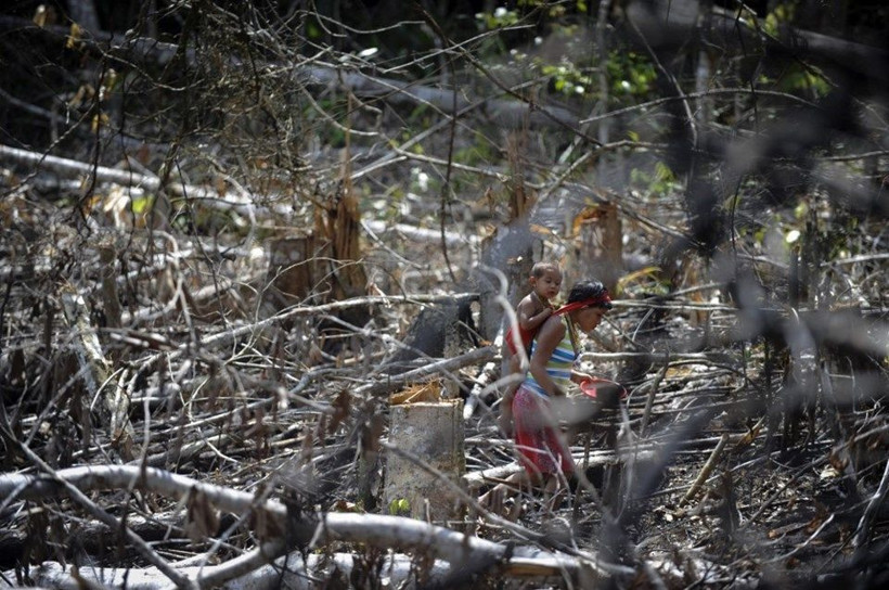 Koronavirüs balta girmemiş Amazon ormanlarına bile sıçradı - Resim: 3