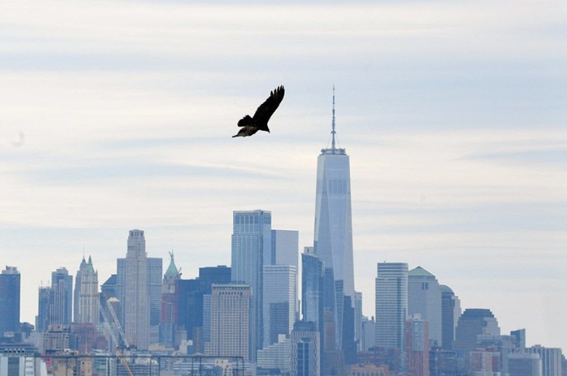 Koronavirüsten ölümler arttı her yer ceset oldu akbabalar şehrin üstünde uçmaya başladı - Resim: 4