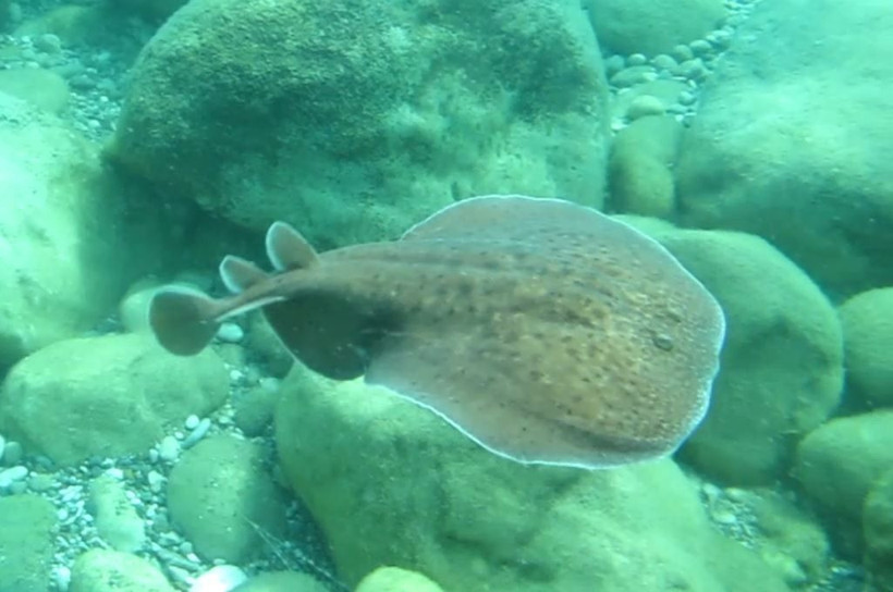 Antalya'da dokunduğu anda olanlar oldu! Ne olduğuna inanamadı - Resim: 1