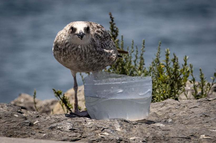 Meteoroloji'den Marmara dahil 3 bölgeye sıcaklık uyarısı! 8 dereceye kadar artacak - Resim: 2