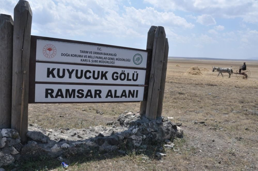 Kars'ta kuş cenneti Kuyucuk Gölü tamamen kurudu! Artık kuş da yok su da - Resim: 3