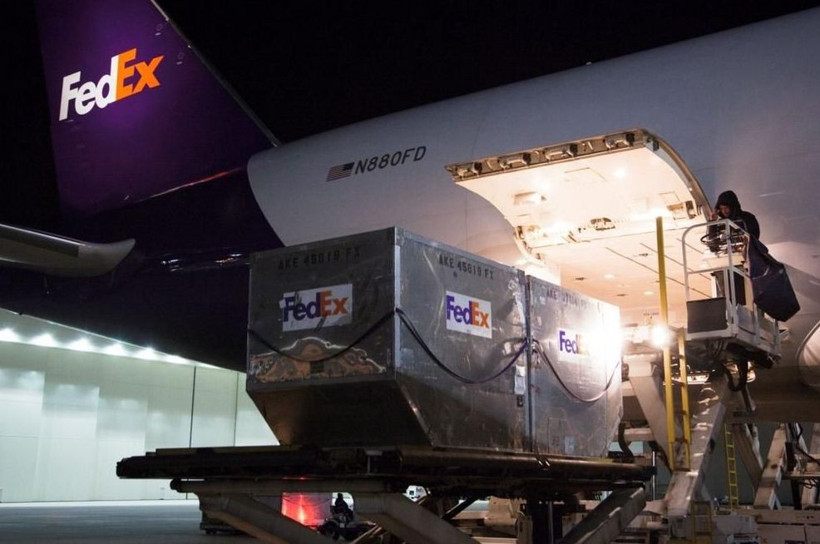 Korku filmi senaryosu gibi! Kargolanan ceset kayboldu 3 yıldır bulunamıyor - Resim: 2