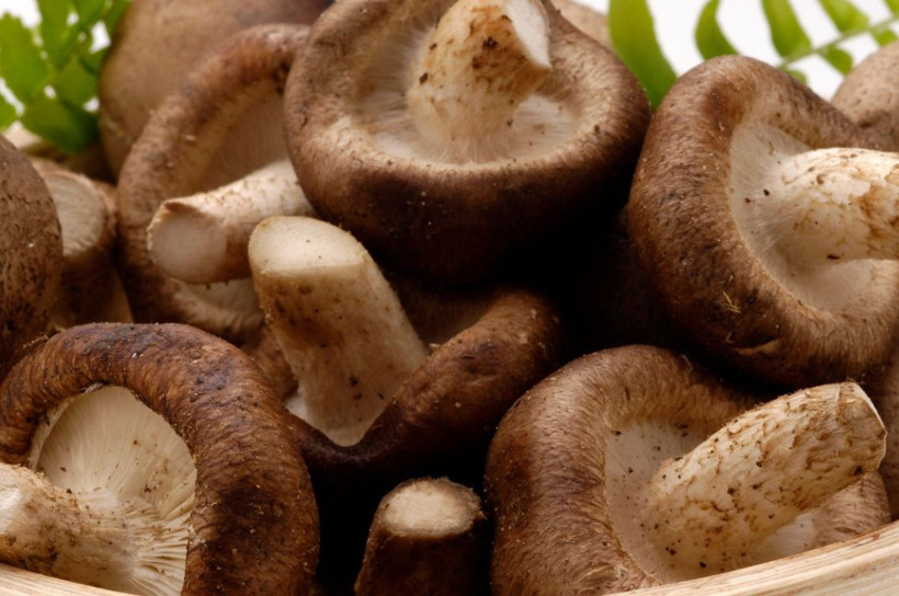İmparatorların yiyeceği Shiitake mantarı! İnanılmaz faydaları var - Resim: 4