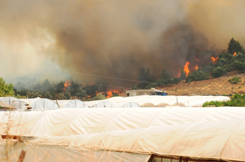 Tatil cennetinde yangın büyüyor! İnsanlar kaçıyor - Resim: 4