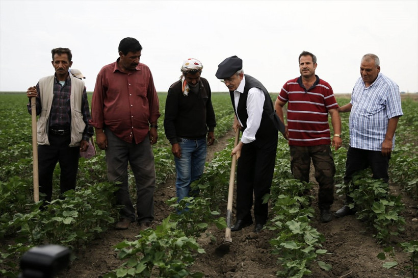 Kılıçdaroğlu pamuk tarlasında çapa yaptı! - Resim: 2