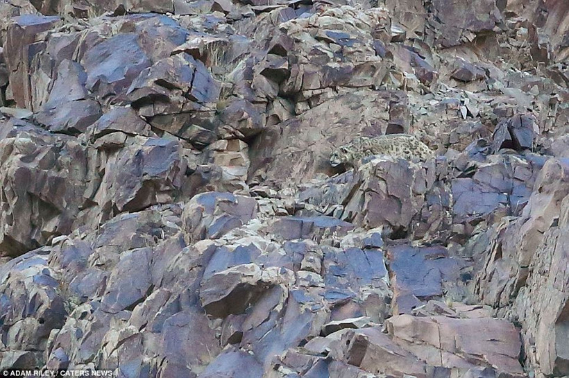 Leoparın muhteşem avı - Resim: 3