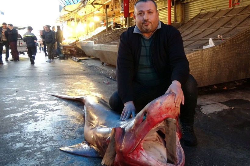 Mersin'de yakalandı görenler telefona sarıldı! Taleplere yetişemiyorlar - Resim: 4