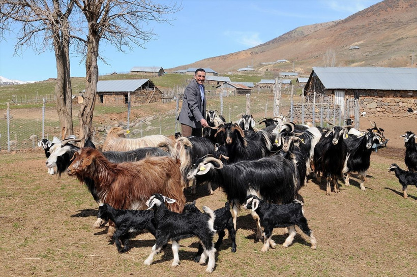 Bingöl'de köydeki çoban 8 yıl sonra başardı köye gelip fotoğraf çektiriyorlar - Resim: 2