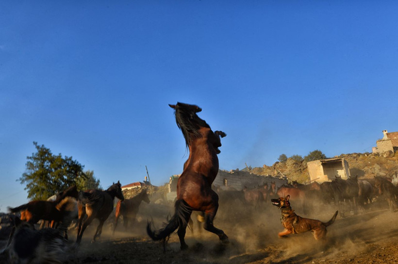Reklam filmlerinin yeni mekanı Hürmetçi Sazlığı - Resim: 4
