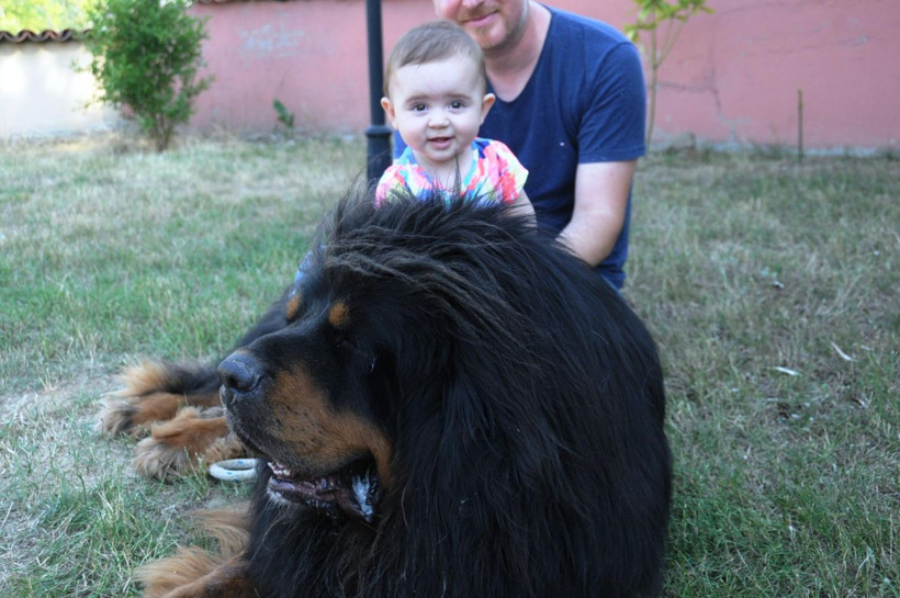 Fiyatları 200 bin liraya kadar çıkıyor! Hepsi servet değerinde - Resim: 3