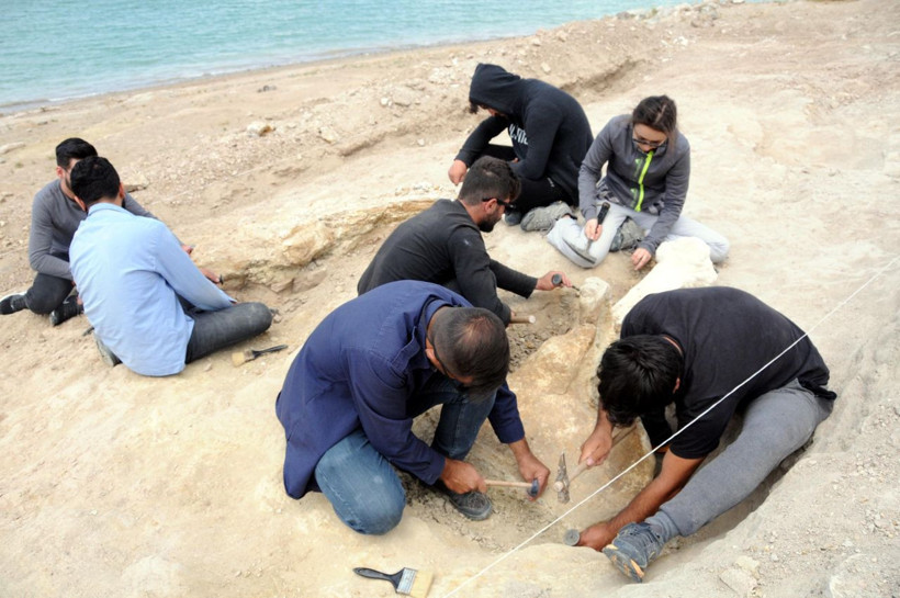 Kayseri'de keçi otlatan çoban buldu bölge kazıldı çıkanlar herkesi şaşırttı - Resim: 4