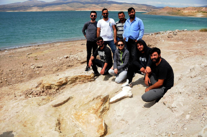 Kayseri'de keçi otlatan çoban buldu bölge kazıldı çıkanlar herkesi şaşırttı - Resim: 1