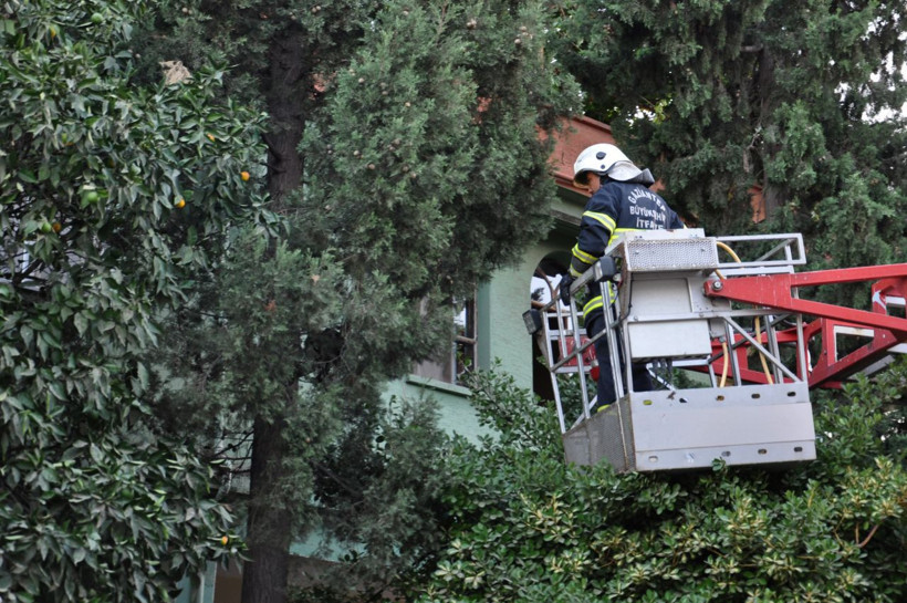 Köpekten kaçtığı ağaçta 2 gün mahsur kalan kediyi itfaiye kurtardı - Resim: 3