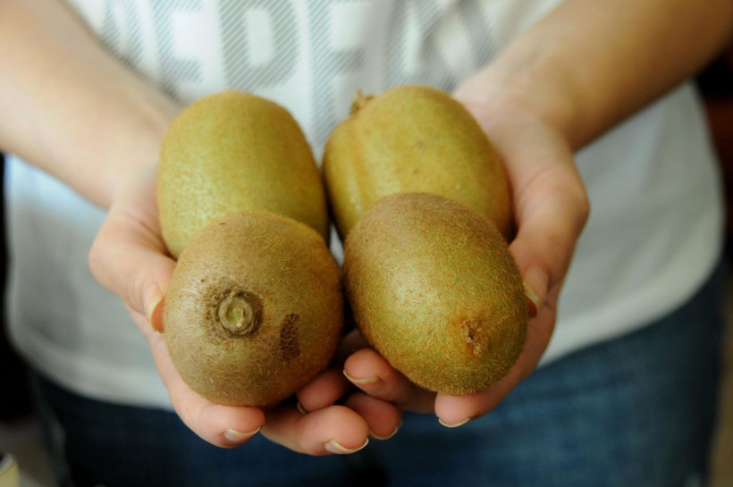 Daha hasadı başlamadan çoğu satıldı bir tanesi 4 adet portakala eşdeğer - Resim: 2