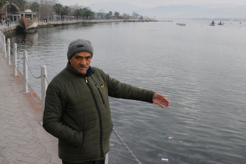 Kocaeli İzmit Körfezi'nde deniz anası istilası - Resim: 3