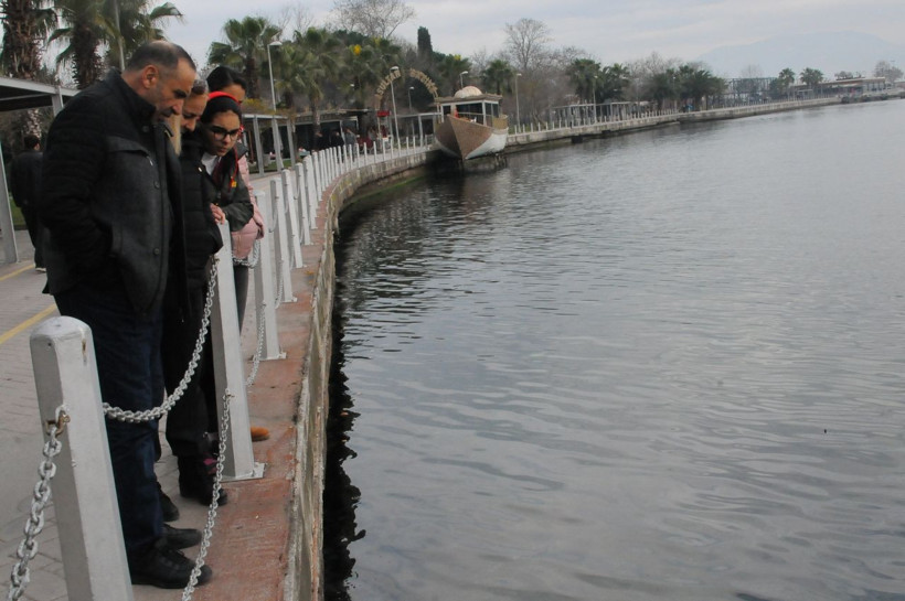 Kocaeli İzmit Körfezi'nde deniz anası istilası - Resim: 4