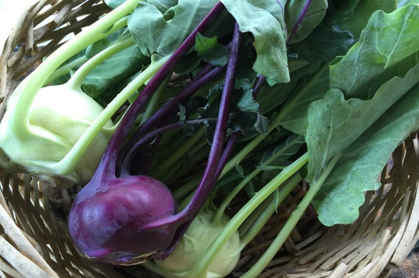 Adını hiç duymamış olabileceğiniz 10 değişik sebze! - Resim: 1