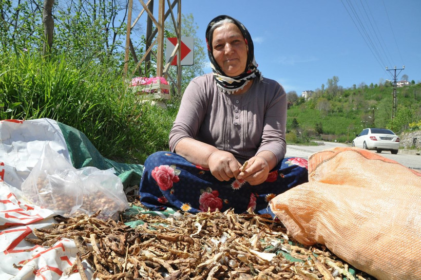 En uzun ömürlü insanlarının yaşadığı ilçede koronavirüse rastlanmadı - Resim: 2