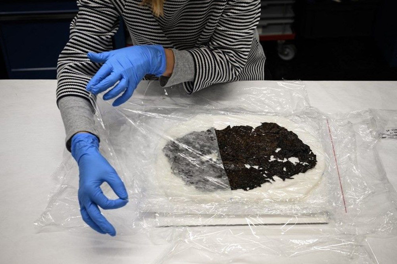 Alplerdeki buzulları eriyince ortaya çıkanlar bilim dünyasını şaşırttı - Resim: 4