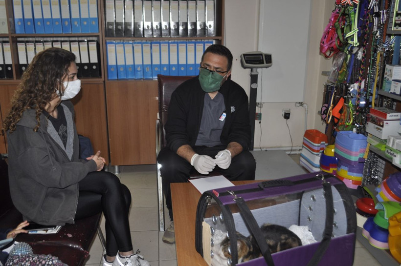 Türkiye'de sadece 2 tane var! Muğla'da gerçek veterinerde ortaya çıktı - Resim: 2