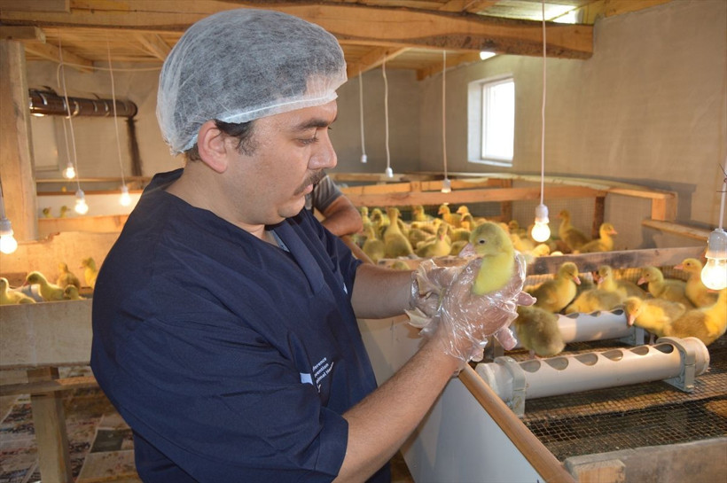 Yurt dışından getirdi evinin bahçesinde yetiştiriyor! Taneyle satıyor fiyatı şaşırttı - Resim: 4