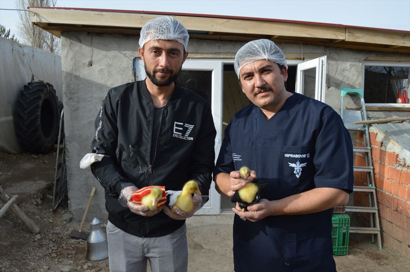 Yurt dışından getirdi evinin bahçesinde yetiştiriyor! Taneyle satıyor fiyatı şaşırttı - Resim: 2