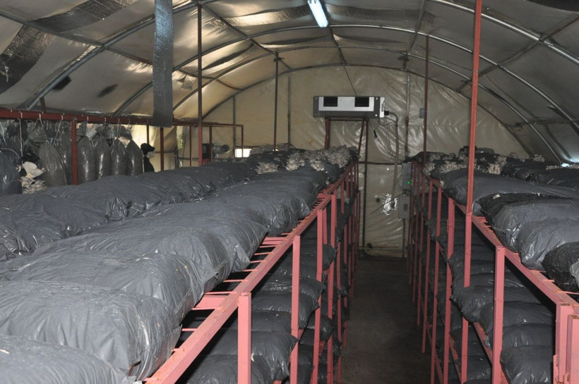 Gaziantep'te çocuklarının sözüyle hayatı değişti! Paraya para demiyor - Resim: 4