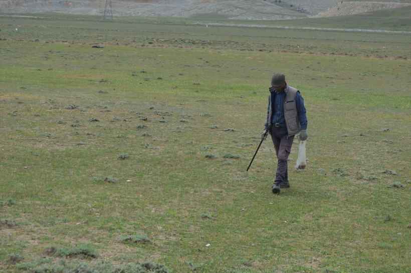 Afyonkarahisar'da köylüler define arar gibi arıyor şekli patatese benziyor - Resim: 4