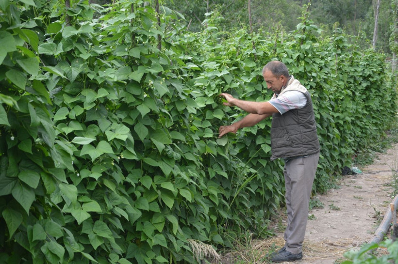 Milyonlar kazanacak! 'Burada bir şey olmaz' diyenlere inat Tokat'ta yaptı: Topraktan fışkırdı - Resim: 2