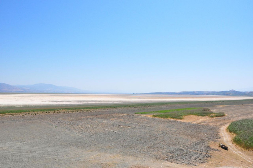 Manisa'da 2 bin kişinin geçimini sağlayan Marmara Gölü kurudu artık inekler otluyor - Resim: 1