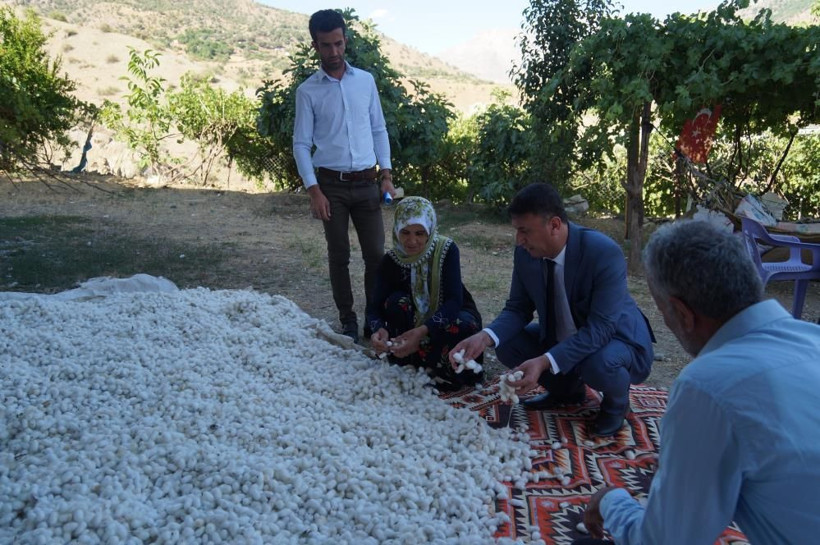 Herkes bu işe girdi kilosu 180 TL! Bir ayda 1 milyon TL kazandırdı - Resim: 1