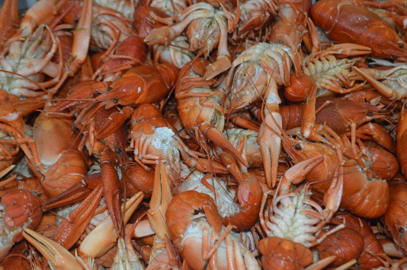 Türkiye İsrail'e yediriyor adını duymayan çok kişi var Afyonkarahisar'dan dev ihracat - Resim: 1