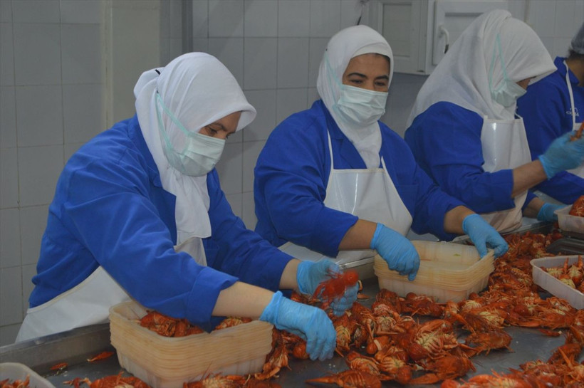 Türkiye İsrail'e yediriyor adını duymayan çok kişi var Afyonkarahisar'dan dev ihracat - Resim: 3