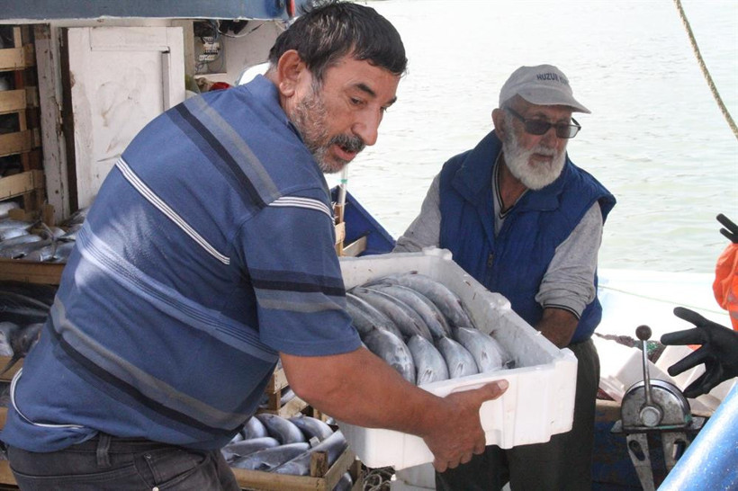 Limana 8 bin palamut ile döndü - Resim: 2