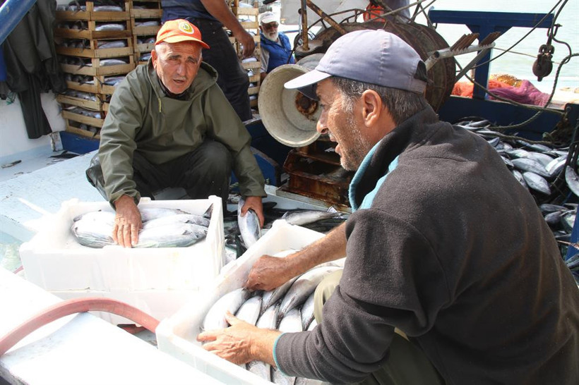 Limana 8 bin palamut ile döndü - Resim: 3
