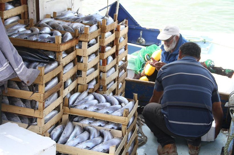 Limana 8 bin palamut ile döndü - Resim: 4